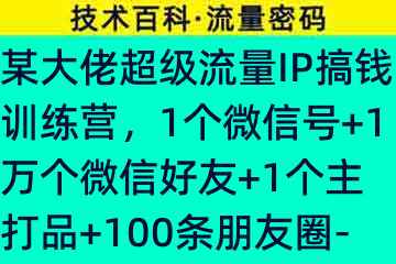 某大佬超级流量IP搞钱训练营，1个微信号+1万个微信好友+1个主打品+100条朋友圈-短视选题=100W83261-9